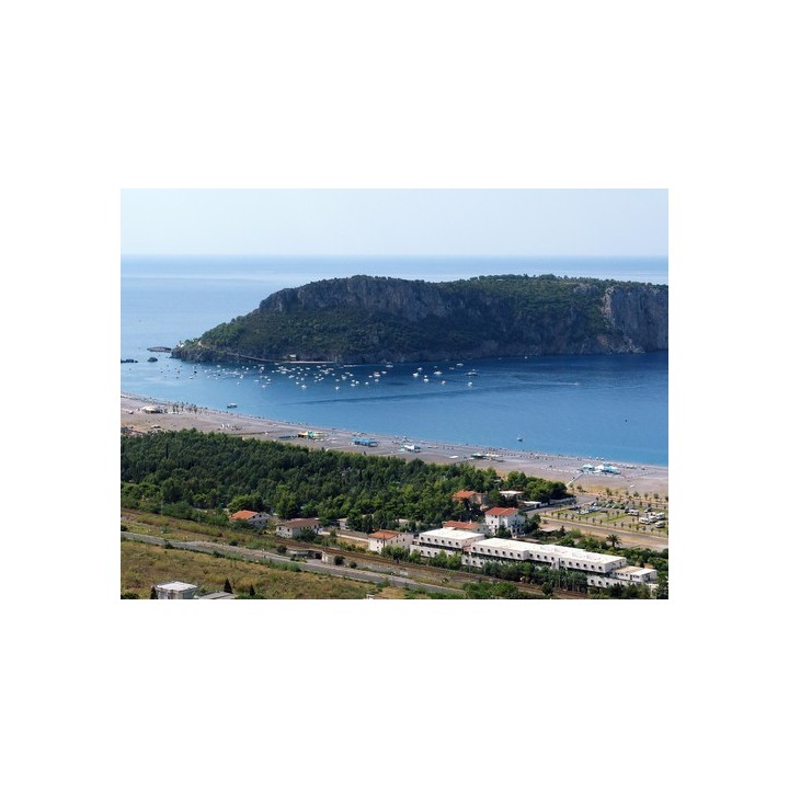 International Camping Village