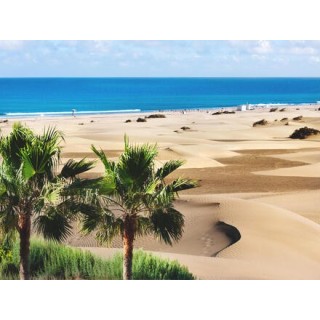 Kreuzfahrten Kanarische Inseln: Kreuzfahrt mit AIDAluna ab/bis Gran Canaria mit 5 Nächten Hotelaufenthalt