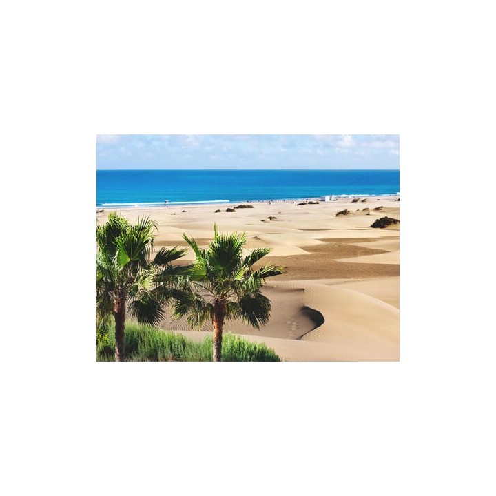 Kreuzfahrten Kanarische Inseln: Kreuzfahrt mit AIDAluna ab/bis Gran Canaria mit 5 Nächten Hotelaufenthalt