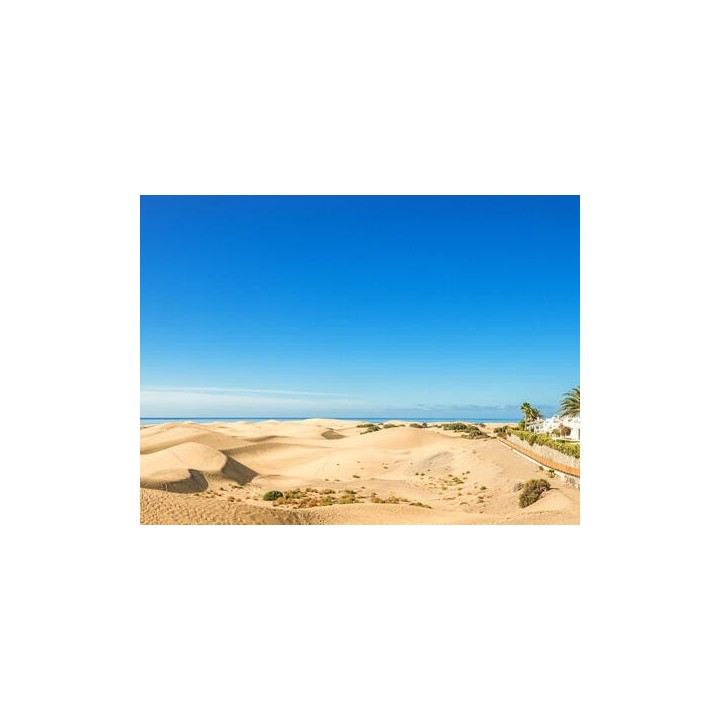 Kreuzfahrten Kanarische Inseln: Kreuzfahrt mit AIDAluna ab/bis Gran Canaria mit 4 Nächten Hotelaufenthalt