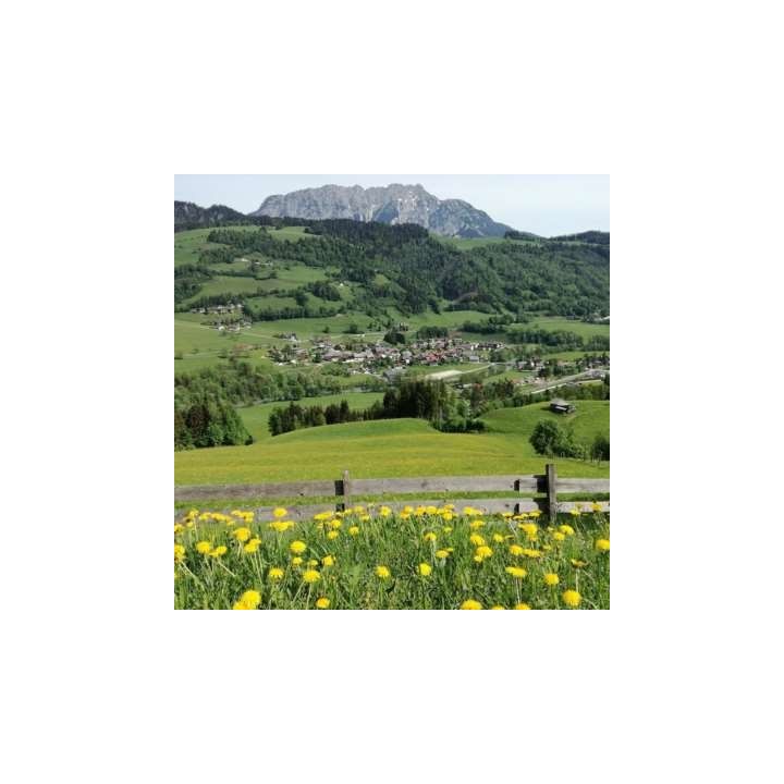 Panoramahotel Stocker