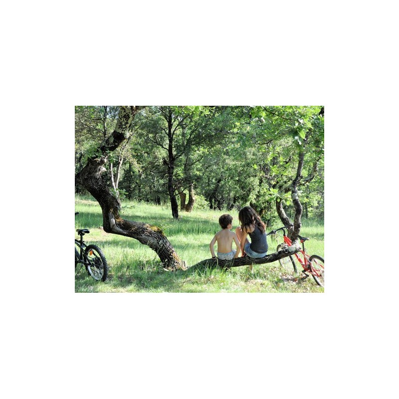 Camping L'Ombrage