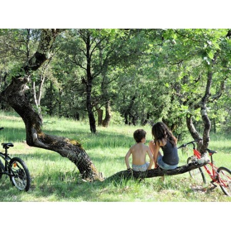 Camping L'Ombrage