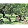 Camping L'Ombrage