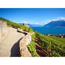 Camping Saint Disdille