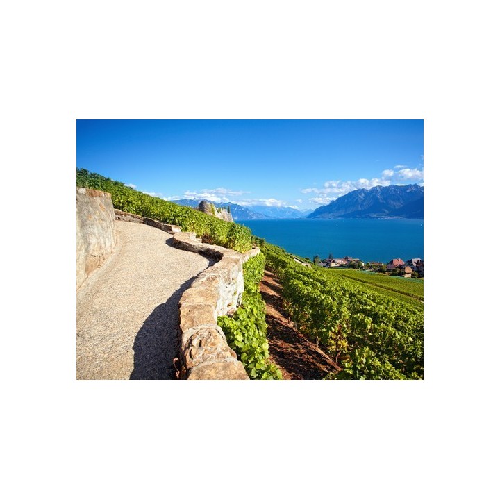 Camping Saint Disdille