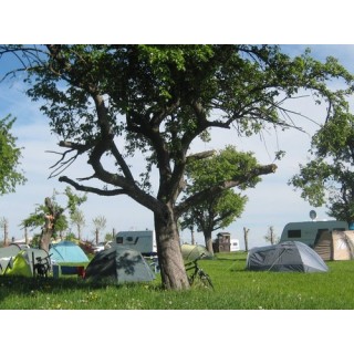 MiO-Minicamping Ottendorf