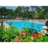 Baia Holiday Mare Pineta