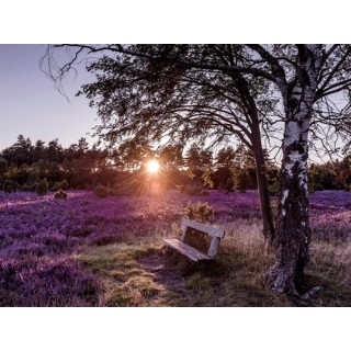 Camping-Park Lüneburger Heide