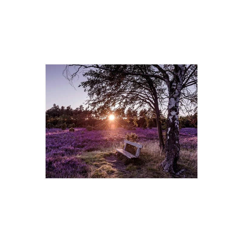 Camping-Park Lüneburger Heide