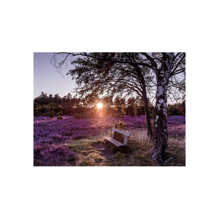 Camping-Park Lüneburger Heide