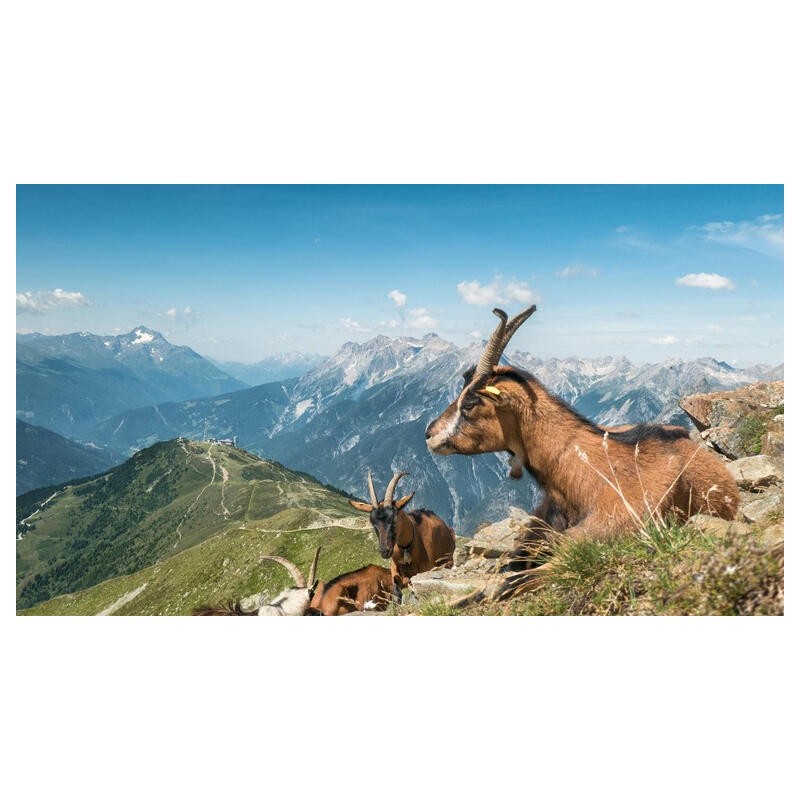 Eigene Anreise Schweiz - Graubünden: Wanderreise mit Aufenthalt im Hotel Condordia