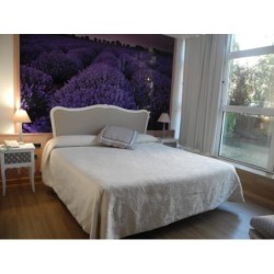 Vilana Hotel