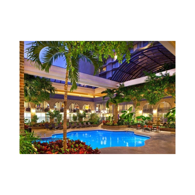Hotel Sheraton Atlanta Downtown