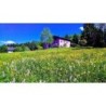 Ferienwohnung in Ostbayern ab 41€ pro Nacht