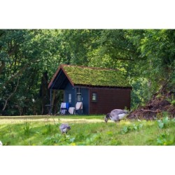 Ferienwohnung in Emsland ab 56€ pro Nacht
