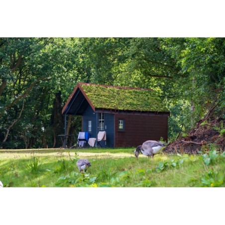 Ferienwohnung in Emsland ab 56€ pro Nacht