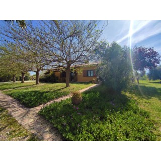 Ferienhaus in Tuscia ab 49€ pro Nacht