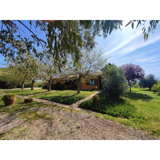 Ferienhaus in Tuscia ab 49€ pro Nacht