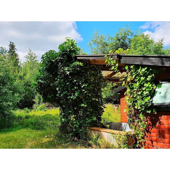 Ferienhaus in Vig ab 35€ pro Nacht