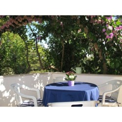 Ferienwohnung in Brac ab 45€ pro Nacht