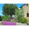 Ferienwohnung in Tuscia ab 47€ pro Nacht