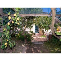 Ferienwohnung in Montecorbo ab 55€ pro Nacht