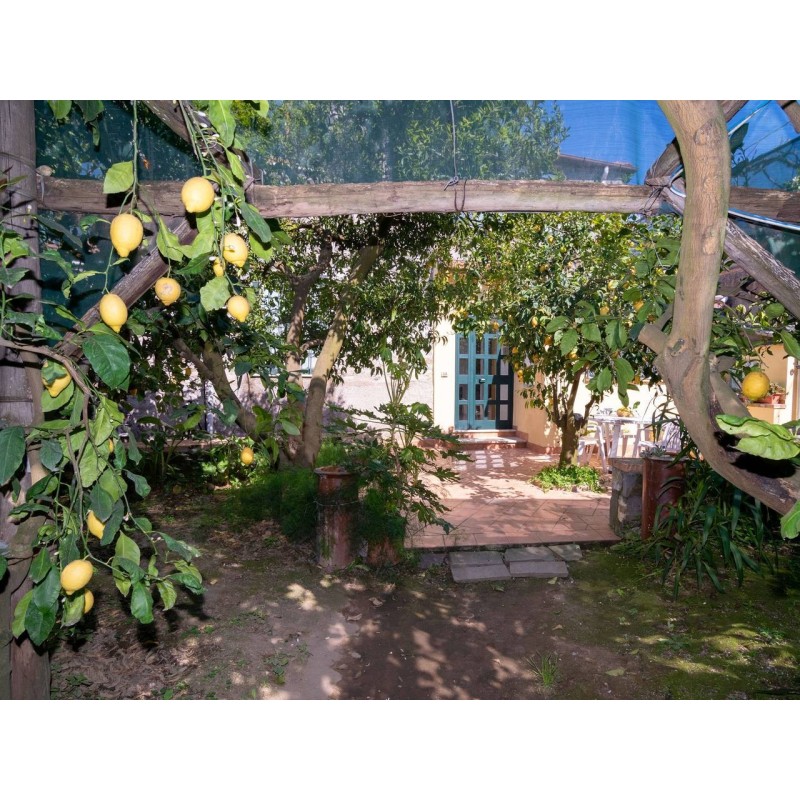 Ferienwohnung in Montecorbo ab 55€ pro Nacht