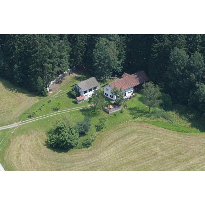 Braten-Grillen-Backen und Kochen mit Daniela Morgenstern