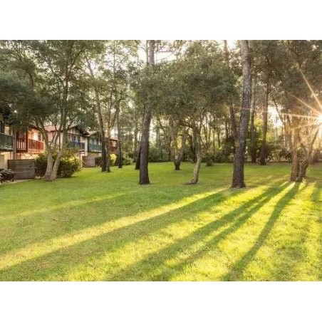 Ferienwohnung in Landes ab 45€ pro Nacht