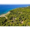 Camping Pineta