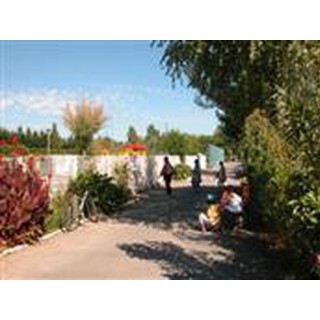 Camping L’abri Des Pins