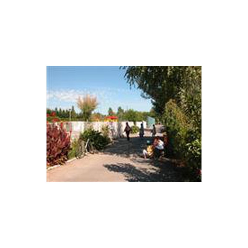 Camping L’abri Des Pins