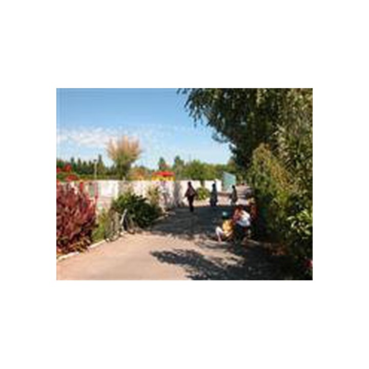 Camping L’abri Des Pins