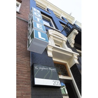 The Neighbour's Magnolia