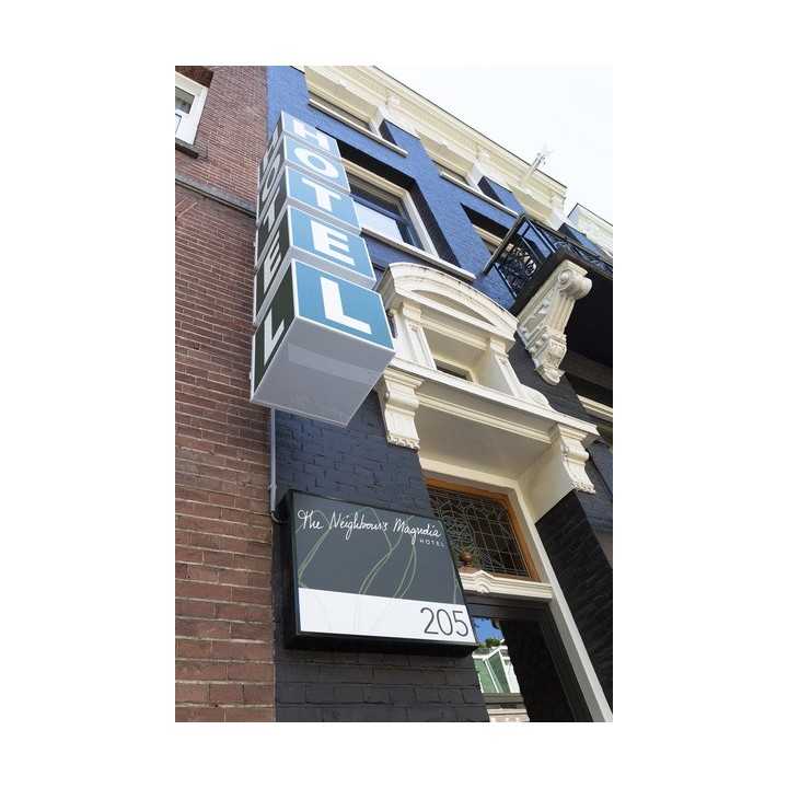 The Neighbour's Magnolia