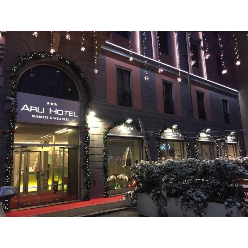 Arli Hotel Business & Wellness