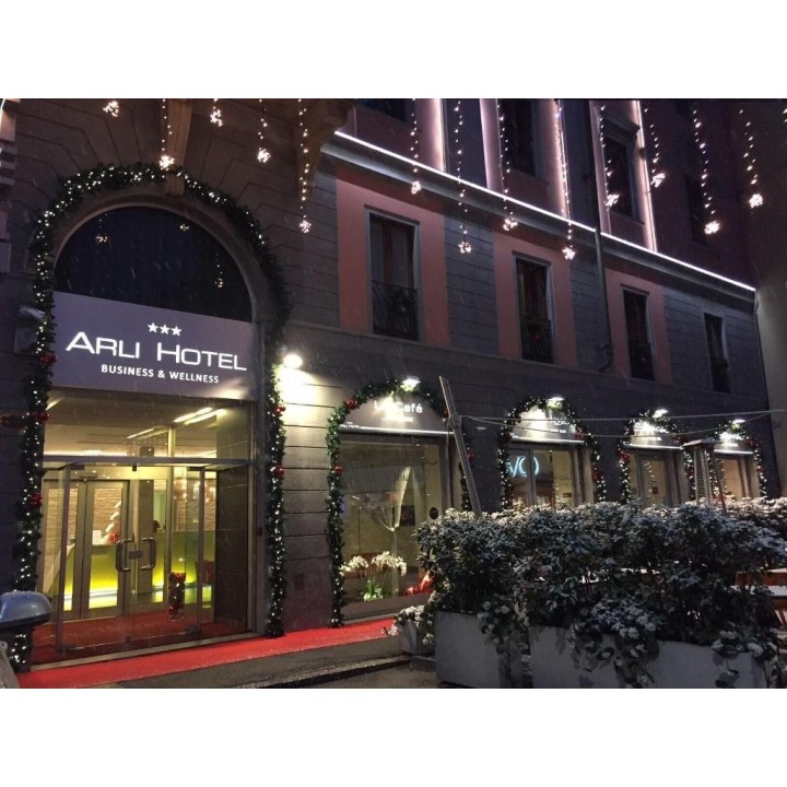 Arli Hotel Business & Wellness