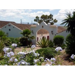 Cortijo del Arte