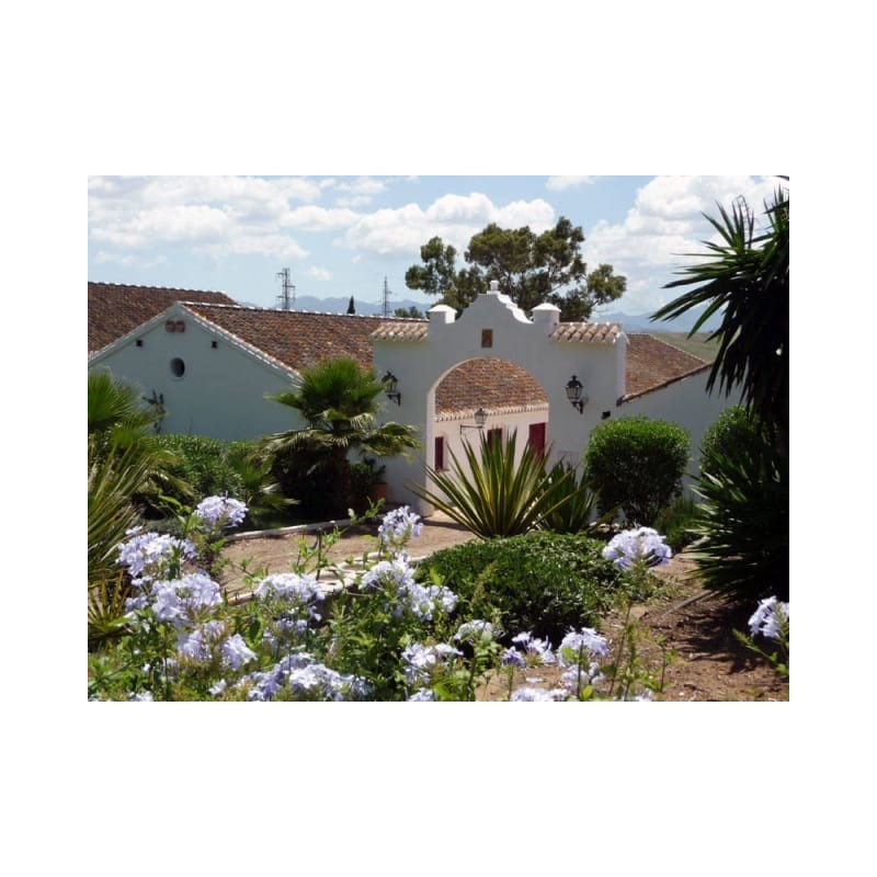 Cortijo del Arte