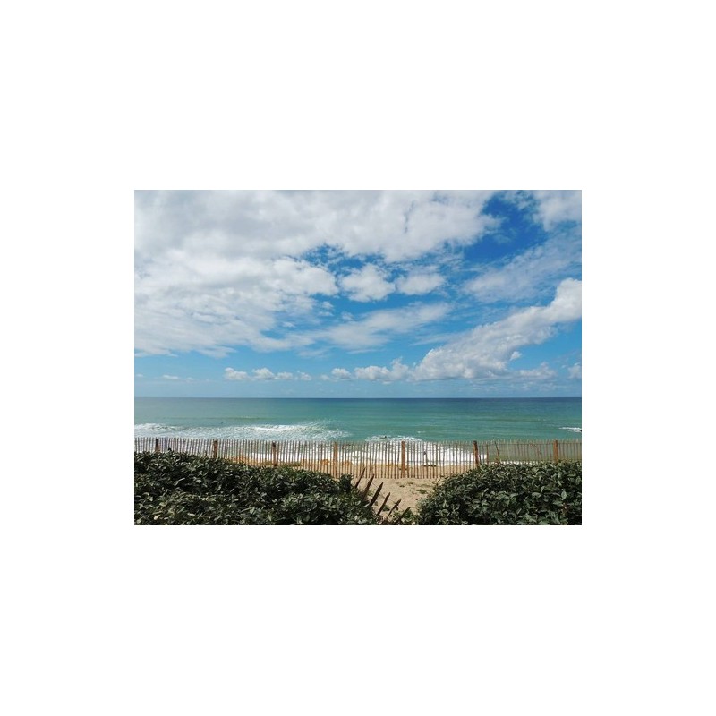 Camping Paradis des Pins- SOULAC