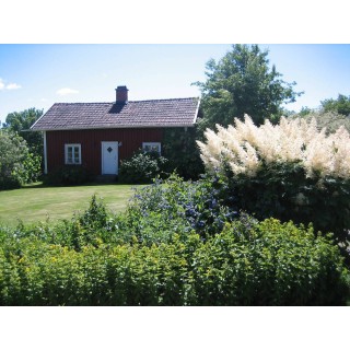 Ferienhaus in Laxa ab 45€ pro Nacht