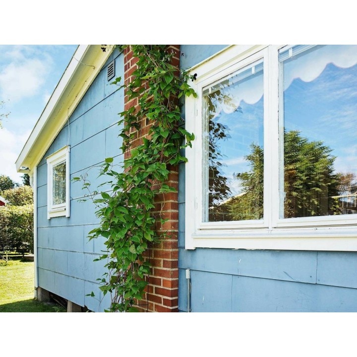 Ferienhaus in Halland ab 44€ pro Nacht