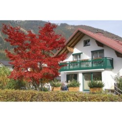 Ferienwohnung in Hinterstoder ab 47€ pro Nacht
