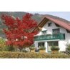 Ferienwohnung in Hinterstoder ab 47€ pro Nacht