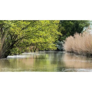 Camping in Vendée ab 38€ pro Nacht