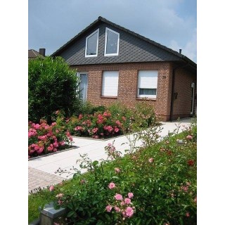 Ferienhaus in Dahme ab 55€ pro Nacht