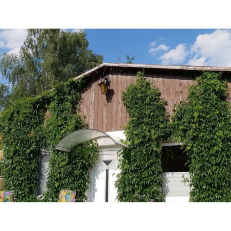 Ferienwohnung in Mirow ab 56€ pro Nacht
