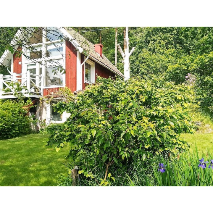 Ferienhaus in Lerum ab 59€ pro Nacht