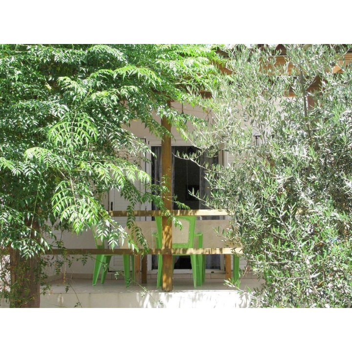 Ferienhaus in Ileia ab 54€ pro Nacht